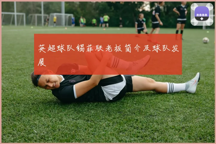 英超球队锡菲联老板简介及球队发展